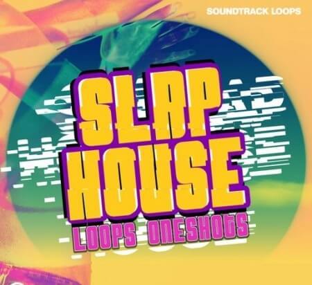 Soundtrack Loops Slap House WAV